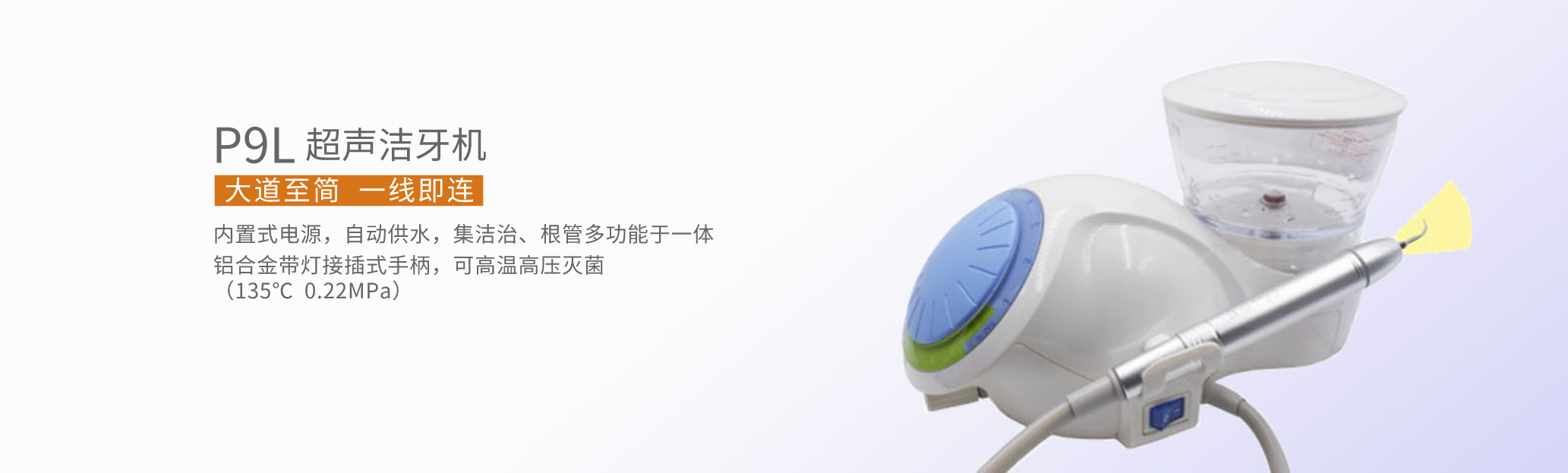 p9l中文