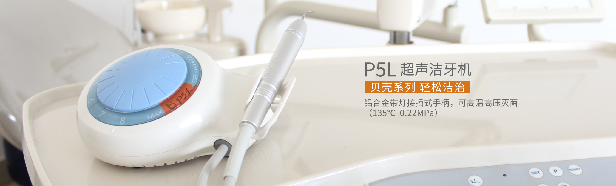 P5L中文